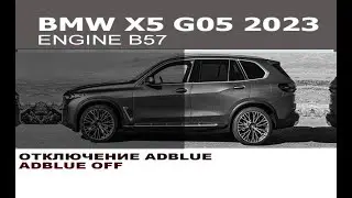 Отключение AdBlue (SCR system) BMW X5 G06 2023 год / AdBlue off (SCR system) BMW X5 G05 2023 year.