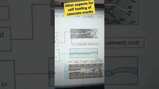 Other aspects for self healing of cracks in concrete