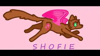 I drew a cat named Shofie 2