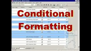 Conditional Formatting on an Access Form ~ DataPig