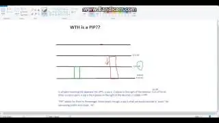 What is a PIP?