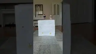 Nehir ile Ege'nin Hikayesi