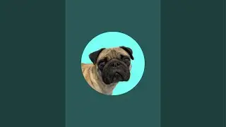 Bowser the Pug's Castle is live!