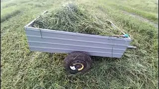 Покатушки по траву для гусей та качок!