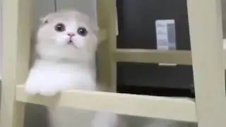 Temnota love 🤗 м хаз ду и