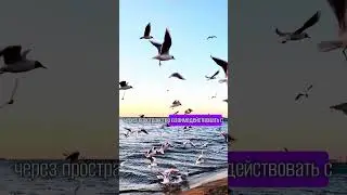 Ретрит в Анапе 