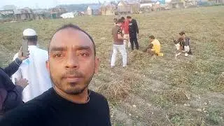 মুন্সিগঞ্জের আলু ক্ষেত