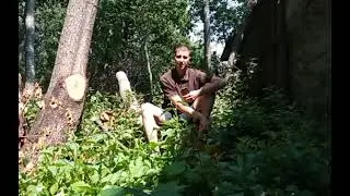 Жить ТРЕЗВО лучше - это факт!