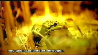 Belgacom - reclame 2005