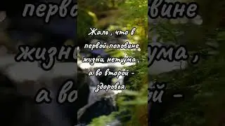 Согласны? | Красивые Видео #shorts #цитаты #psicologia #relax