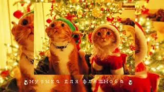 ⛄музыка для флешмоба ⛄