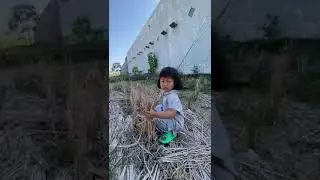 Ndeprok di sawah 😂 kehidupan anak desa #sawah #padi #tani #petani #desa #anakdesa #kid #toddler #fyp