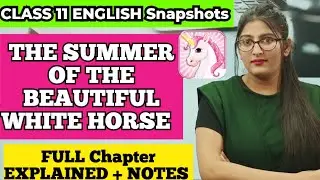 The summer of the beautiful horse class 11|The summer of the beautiful horse class 11 in hindi