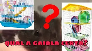 gaiolas para hamsters (avaliando gaiolas)