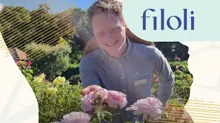 Rose Tour & Gardening Tips | Filoli