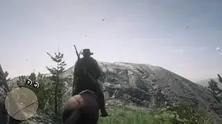"Settle down!" [Red Dead Redemption 2]