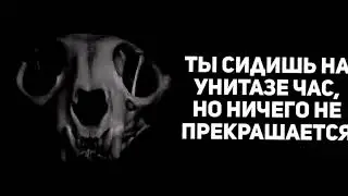 история со Шлёпой 