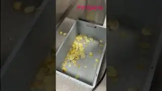 Оптический сортировщик картофельных чипсов с камерами высокого разрешения