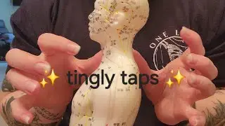 ASMR | Acupuncture Doll | tapping & scratching | pt 5