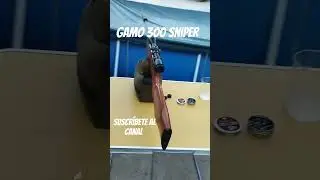 #airecomprimido #youtubeshorts #gamoairguns