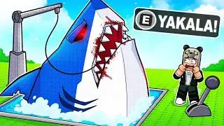 EN BÜYÜK BALIĞI YAKALADIM! Yem Koy ve Balıkları Yakala - Roblox