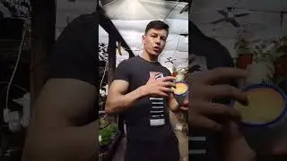 Третья подкормка рассады после пикировки🌱🌱🌱 