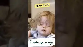 Exam days v/s Gap days | Board Exam 2023 