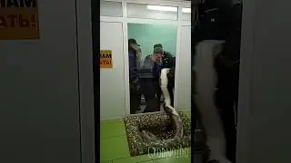 Идём на рекорд! Держите меня семеро! 
