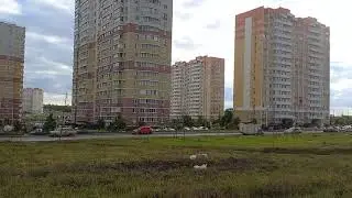 петренко