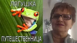 Владивосток -Токио 15 09 2015