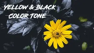 How to Edit Dark Fade Effect in Lightroom Mobile | Lightroom Free DNG Presets | Photography Tech
