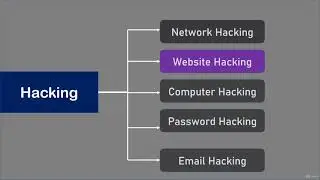 Hacking Field | Ethical Hackers | Ethical Hackers in real world |
