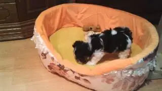 20130918 124848