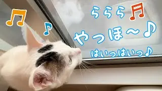 チロさんが朝から大声で歌ってます…！