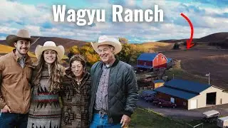 Bar R Wagyu: The Story of Raising America's Premium Beef