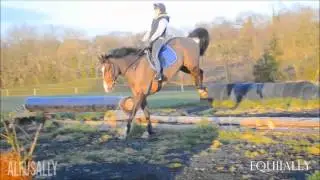 HORSE BLOOPERS!