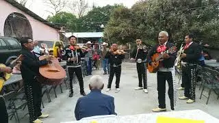 Mariachi en el cumpleaños 95 de mi bisabuelo, feliz cumpleaños