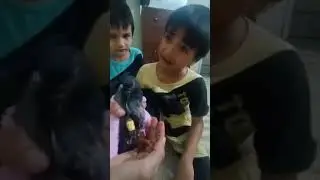 pet's care 😘#petlover#cutebaby #viral #cute