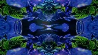 O Tempo Me Guardou Voce by Ivan Lins with visuals by Alvaro Ted Malave