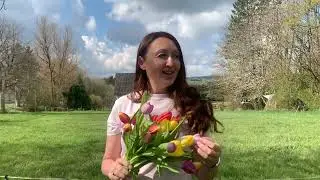 «Всё будет вновь»