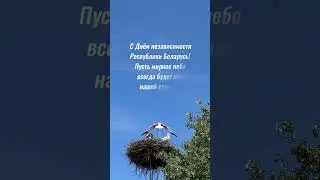 С Днём независимости Республики Беларусь! #видеооткрытки #праздник #деньнезависимости #3июля