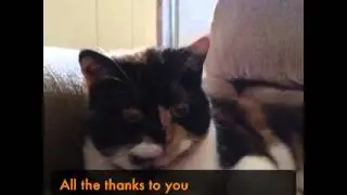 All the thanks to you