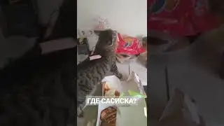 он до этого минуты 3 искал её 