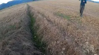 CORA DE LA ARMIÑÉN Media Veda 2020 II