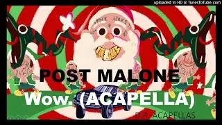 Post Malone - Wow. (Acapella - Vocals Only)