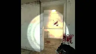 Half-Life 2 LoL 