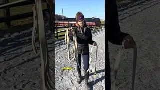 #1 Tip to Practice for Lunging Your Horse 