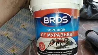 охота на муровья👍,, брос,,