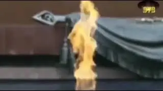 7 мая 2020 г.