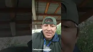Гроза жёсткая. Не даёт поработать 😎. 